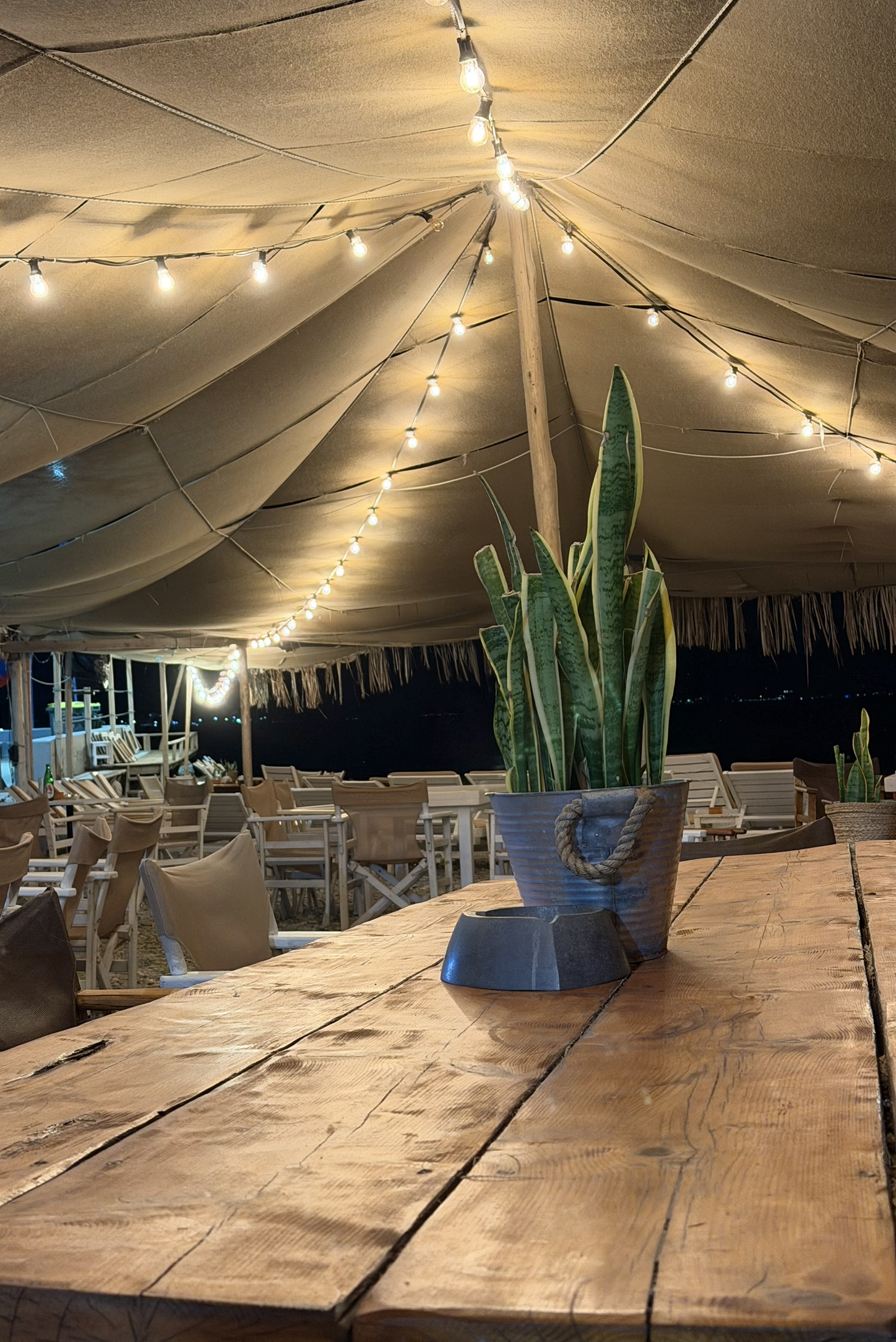 Driftwood table under string lights at night